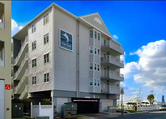 White Marlin 310b Ocean City